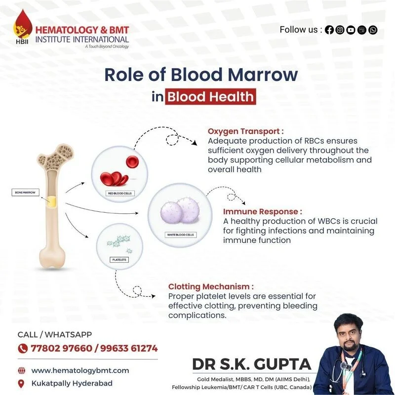 Clinical Hematologist for Specialized Blood Disorder Care